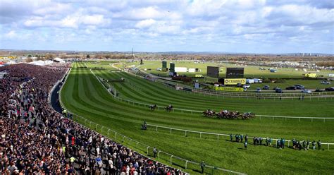 best bets for grand national 2016